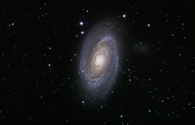 M81