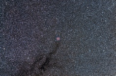 Cocongrandchamppetit