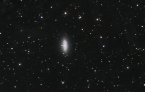 ngc2976