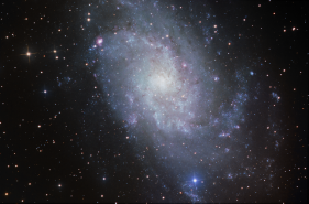 M33