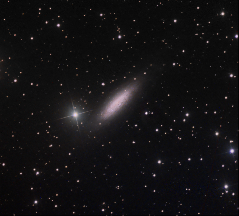 NGC6503