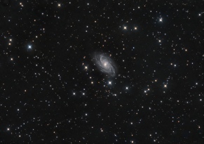 NGC 2336