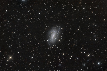 NGC 925