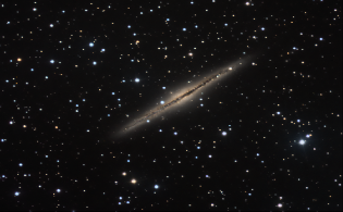 NGC891